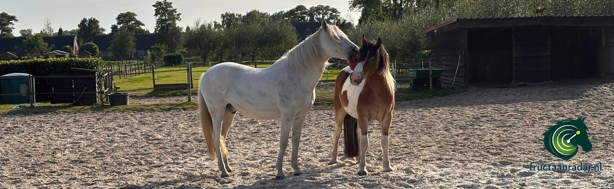 Paarden bij de weide van FructaanRadar